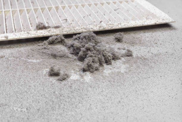Best Air Duct Cleaning Near Me  in Lytle, TX