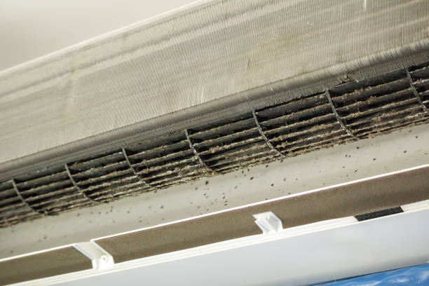 Air Duct Mold Removal in Lytle, TX
